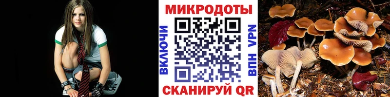 купить   Югорск  Псилоцибиновые грибы GOLDEN TEACHER 